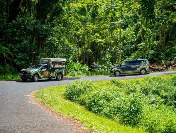 Excursions 4x4 à Taha'a